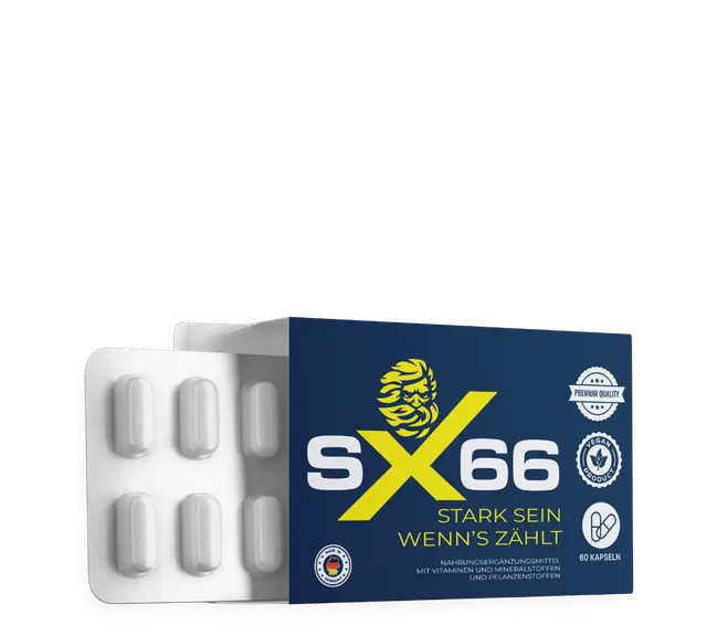 Pack de démarrage SX66, une boîte de 60 gélules en plaquettes