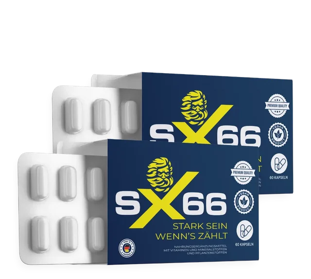 Format de deux boîtes SX66, soit 120 gélules, livraison offerte